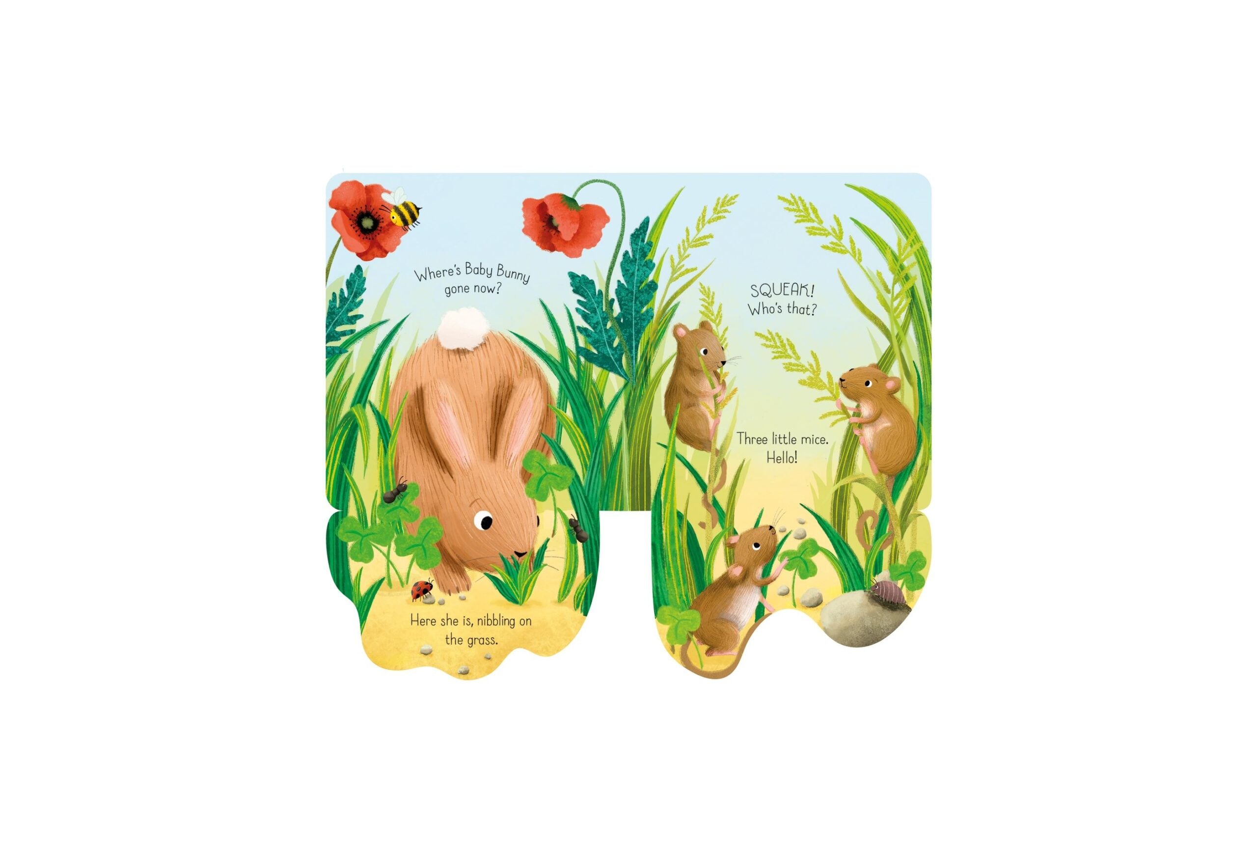 Little Lift and Look Baby Bunny 3