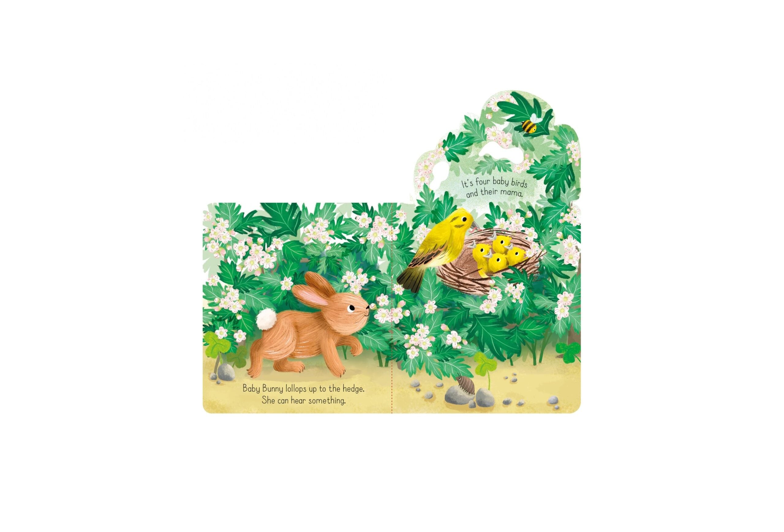 Carte pentru copii - Little Lift and Look Baby Bunny