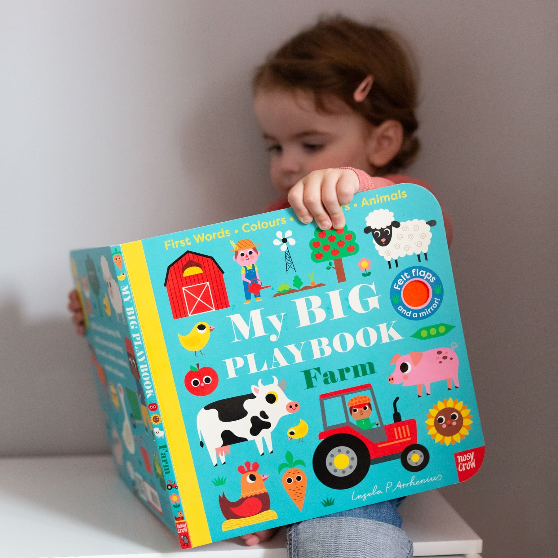 Carte cu activitati pentru bebelusi - My BIG Playbook: Farm, Nosy Crow, + 6 luni