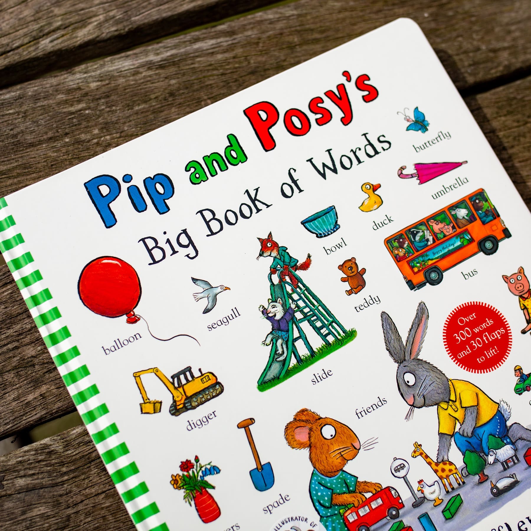 Carte educativa pentru copii mici - Pip and Posy's Big Book of Words, Nosy Crow, + 1 an