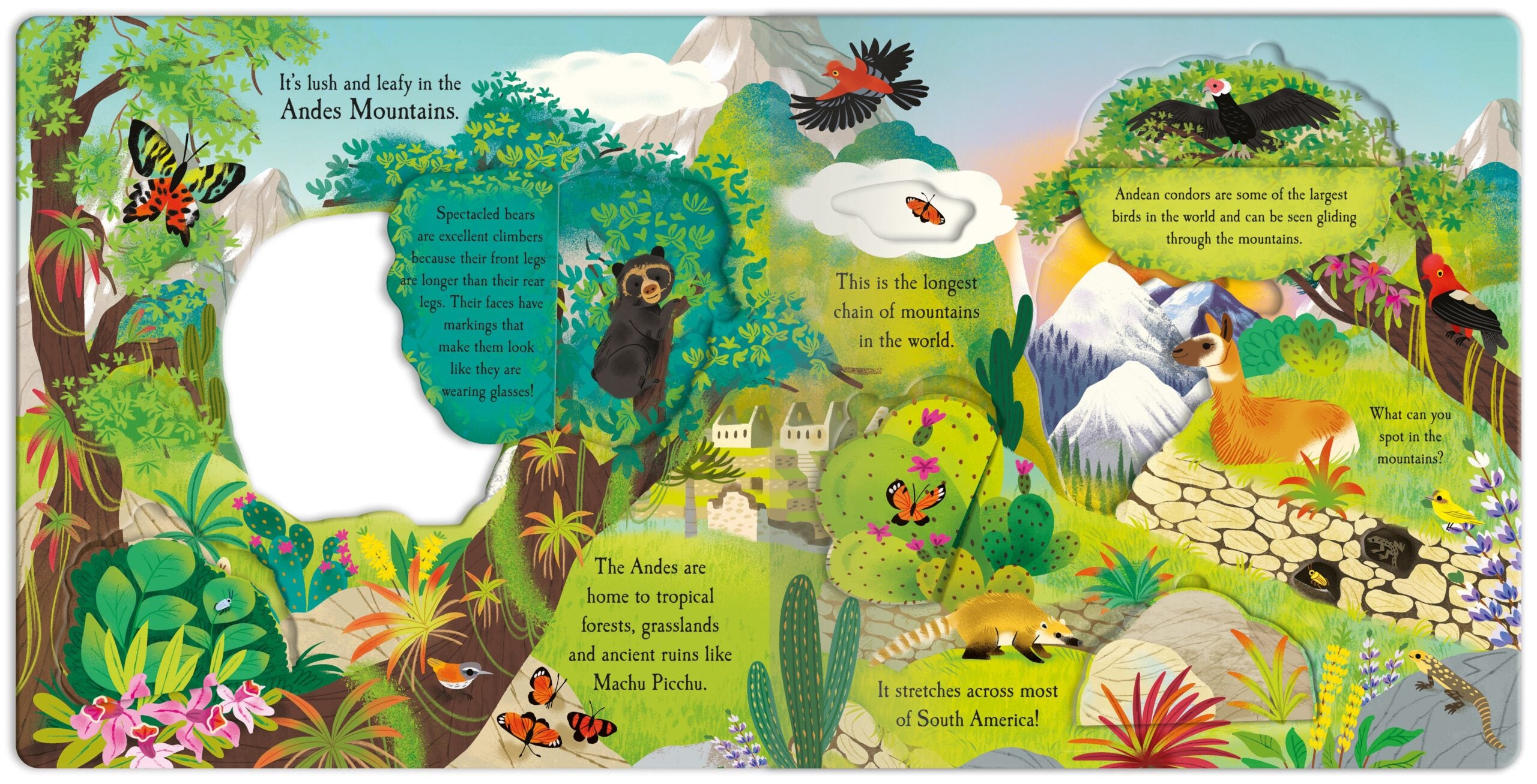 Carte pentru copii, NPP, Let's Explore The Mountains - Children's Lift-The-Flap Book, 3+ ani
