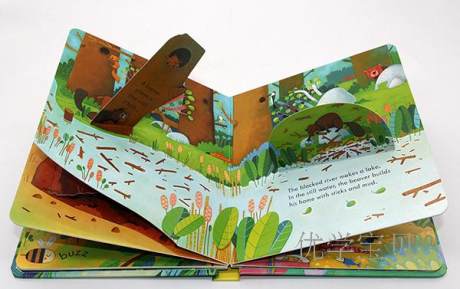 Carte Peep Inside animale - Peep Inside Animal Homes