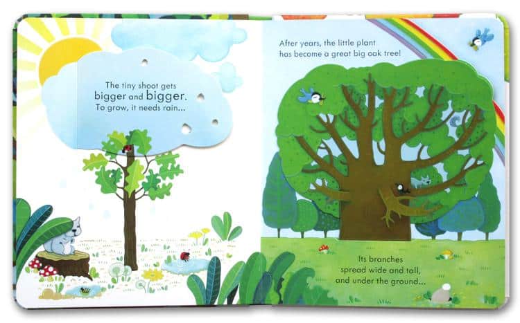 Carte Peep Inside despre copaci- Peep Inside a Tree