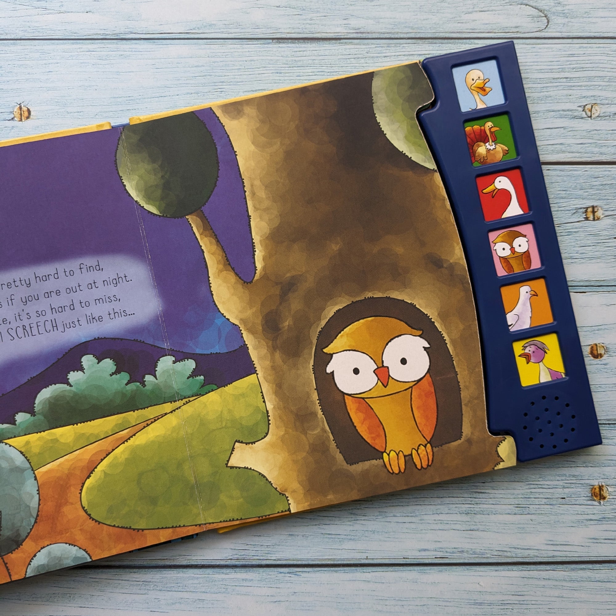 Carte pentru copii, NPP, Birds, Children's 6 Button Sound Book, 1+ ani