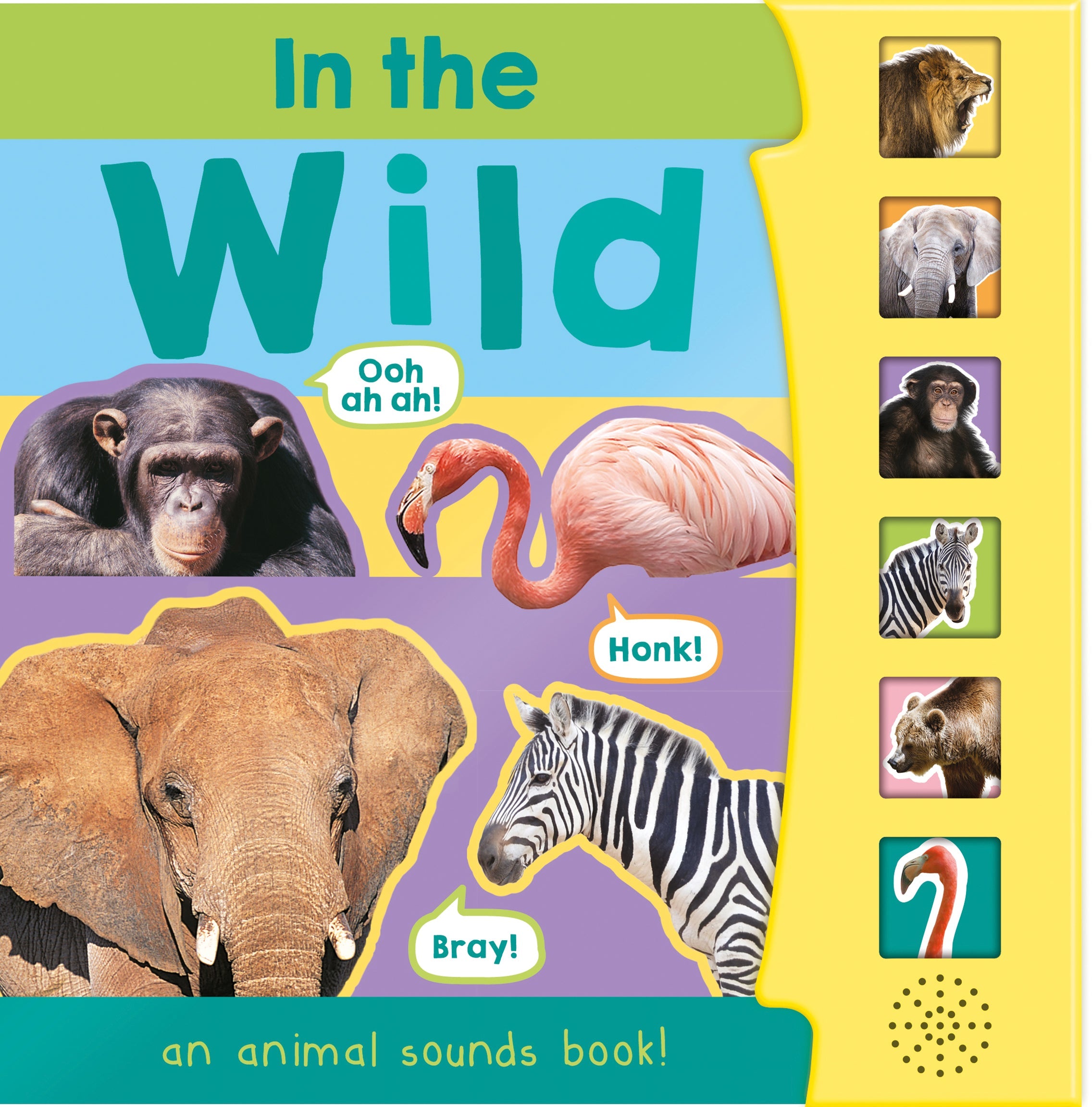 Carte pentru copii, NPP, In The Wild,  Children's 6 Button Sound Book, 3+ ani
