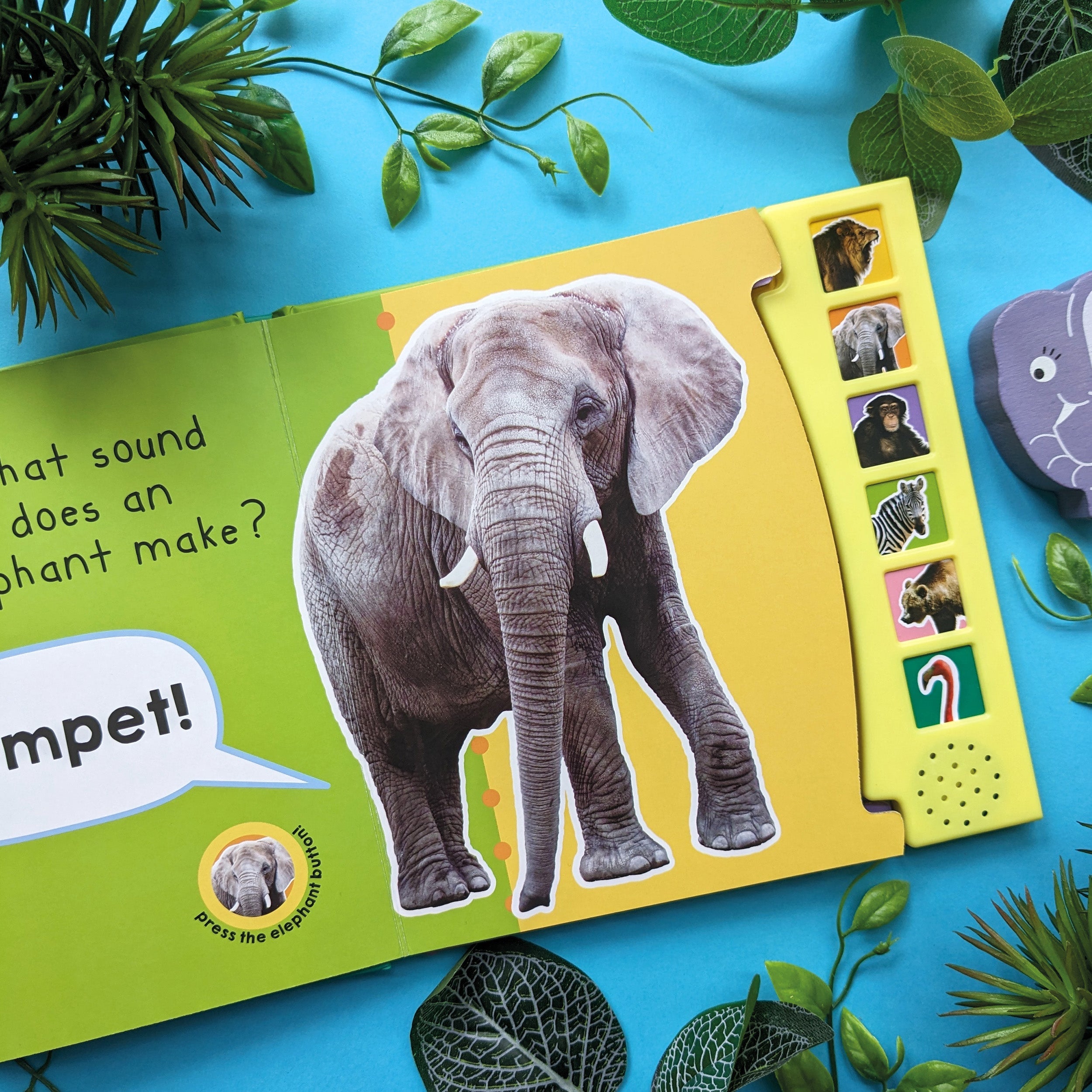 Carte pentru copii, NPP, In The Wild,  Children's 6 Button Sound Book, 3+ ani
