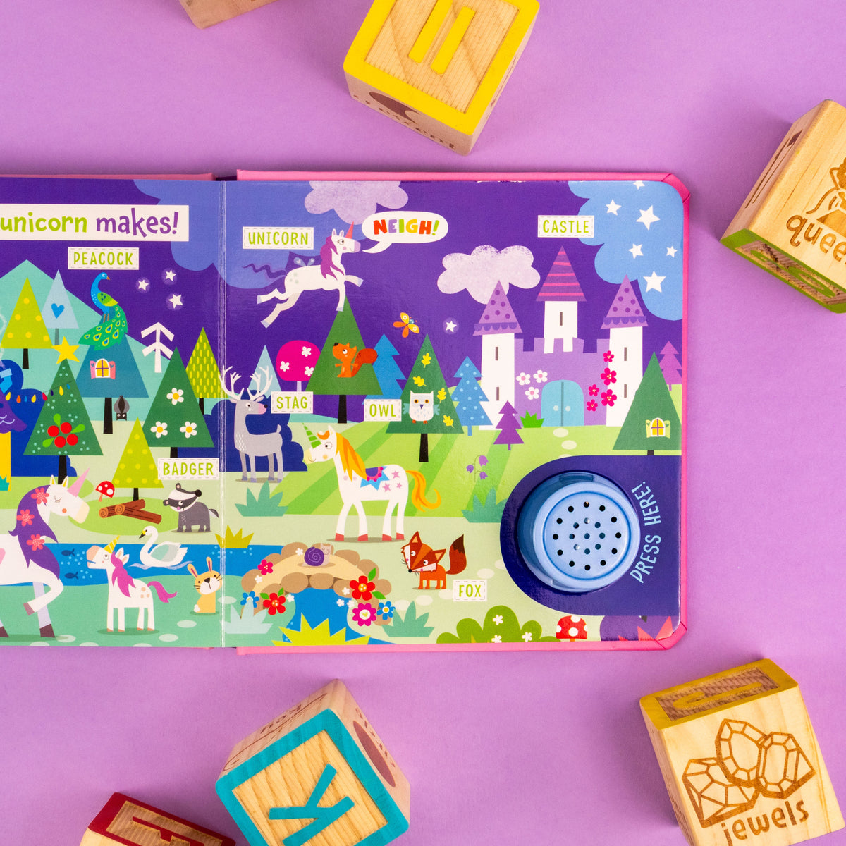 Carte cu sunete – Regatul magic (Can You Find the Right Noise? Magical Kingdom), North Parade, 2+ ani