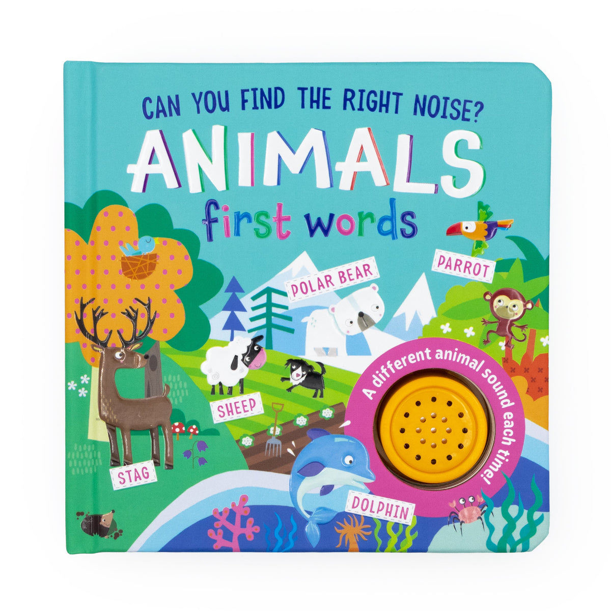 Carte cu sunete – Animale (Can You Find the Right Noise? Animals), North Parade, 2+ ani