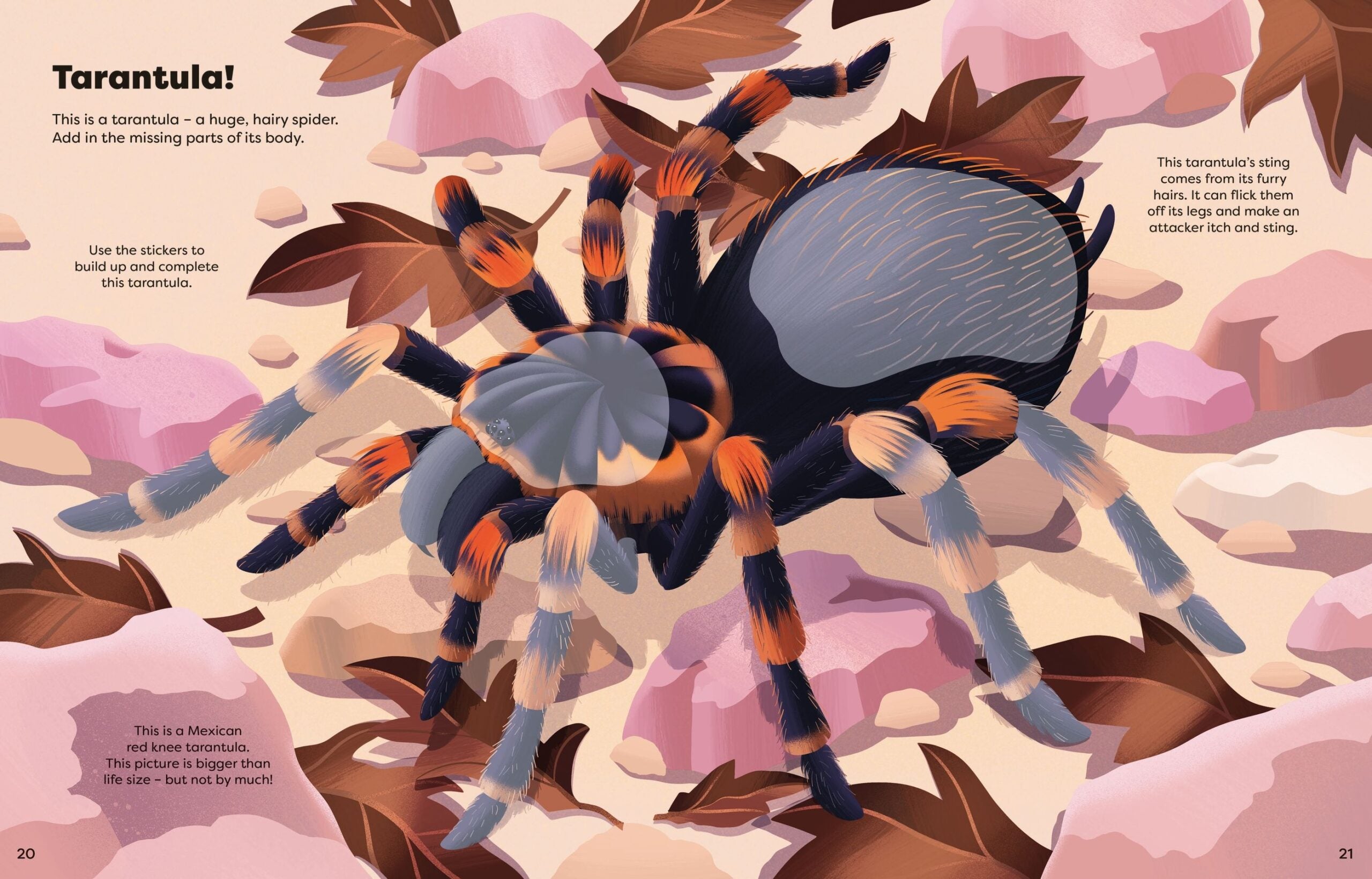 Carte pentru copii, Usborne, Big Sticker Book Bugs, 5+ ani