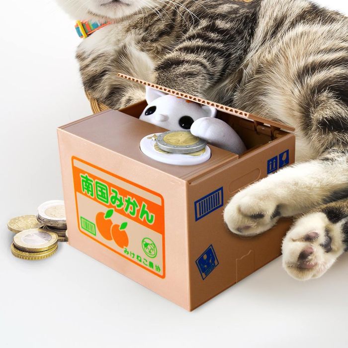 Pusculita interactiva - Kitty Bank
