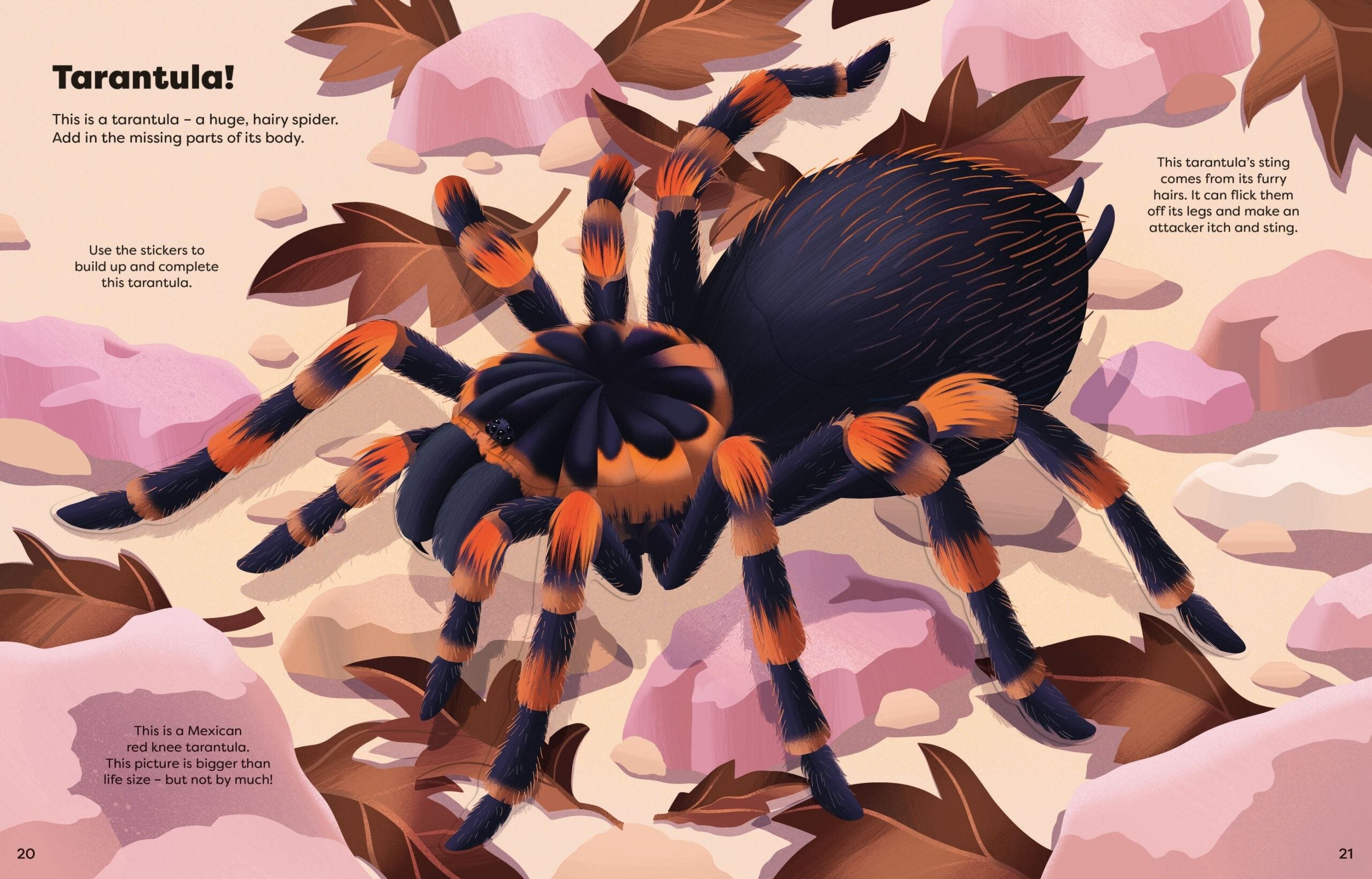 Carte pentru copii, Usborne, Big Sticker Book Bugs, 5+ ani