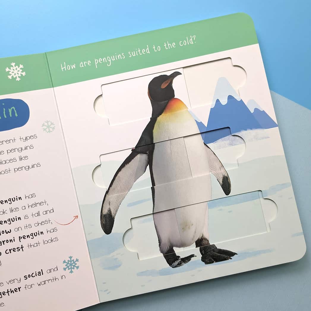 Carte pentru copii - Little wonders puzzle slider books - polar animals