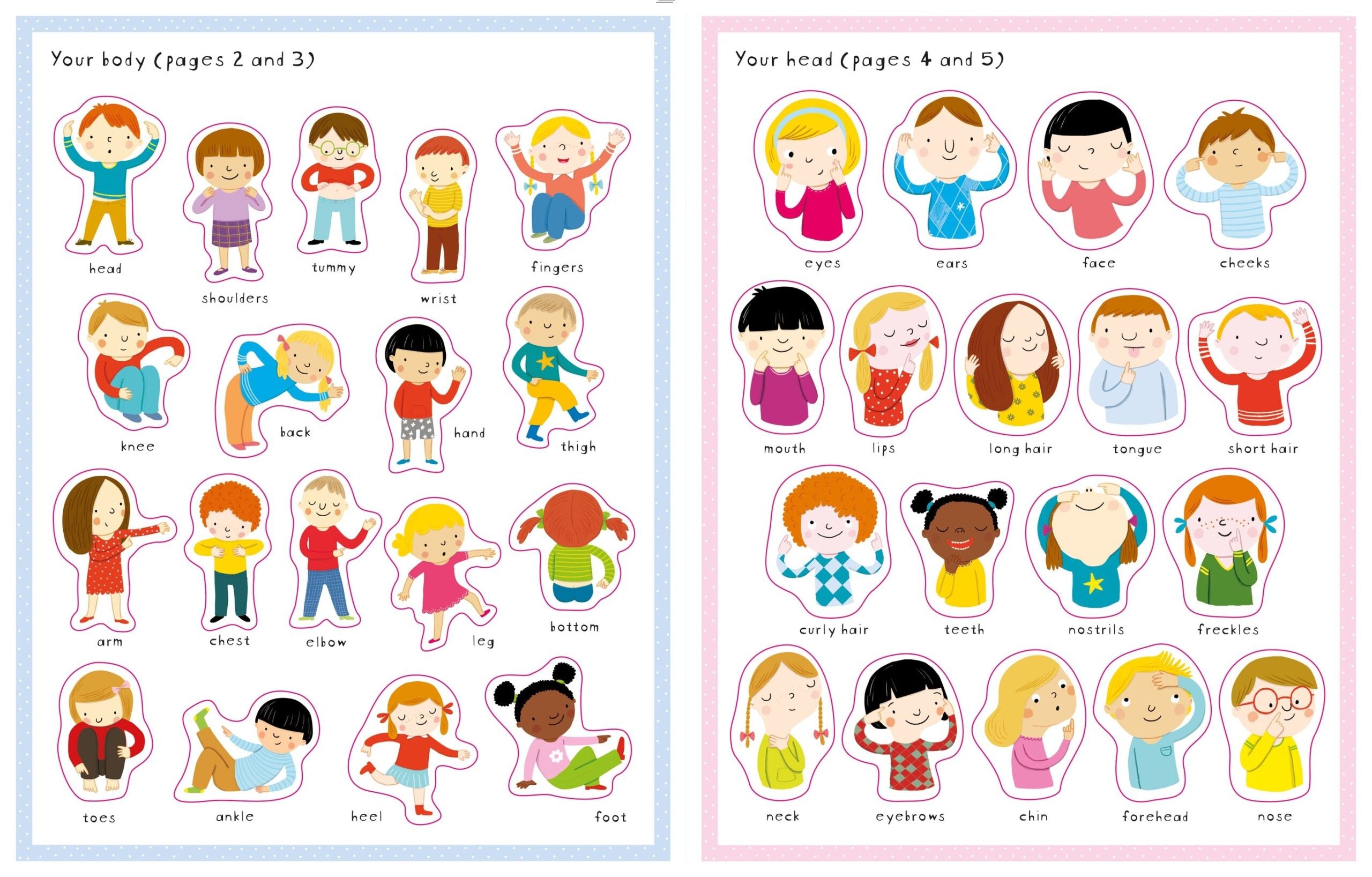 Carte pentru copii, Usborne, First Sticker Book Your Body, 3+ ani