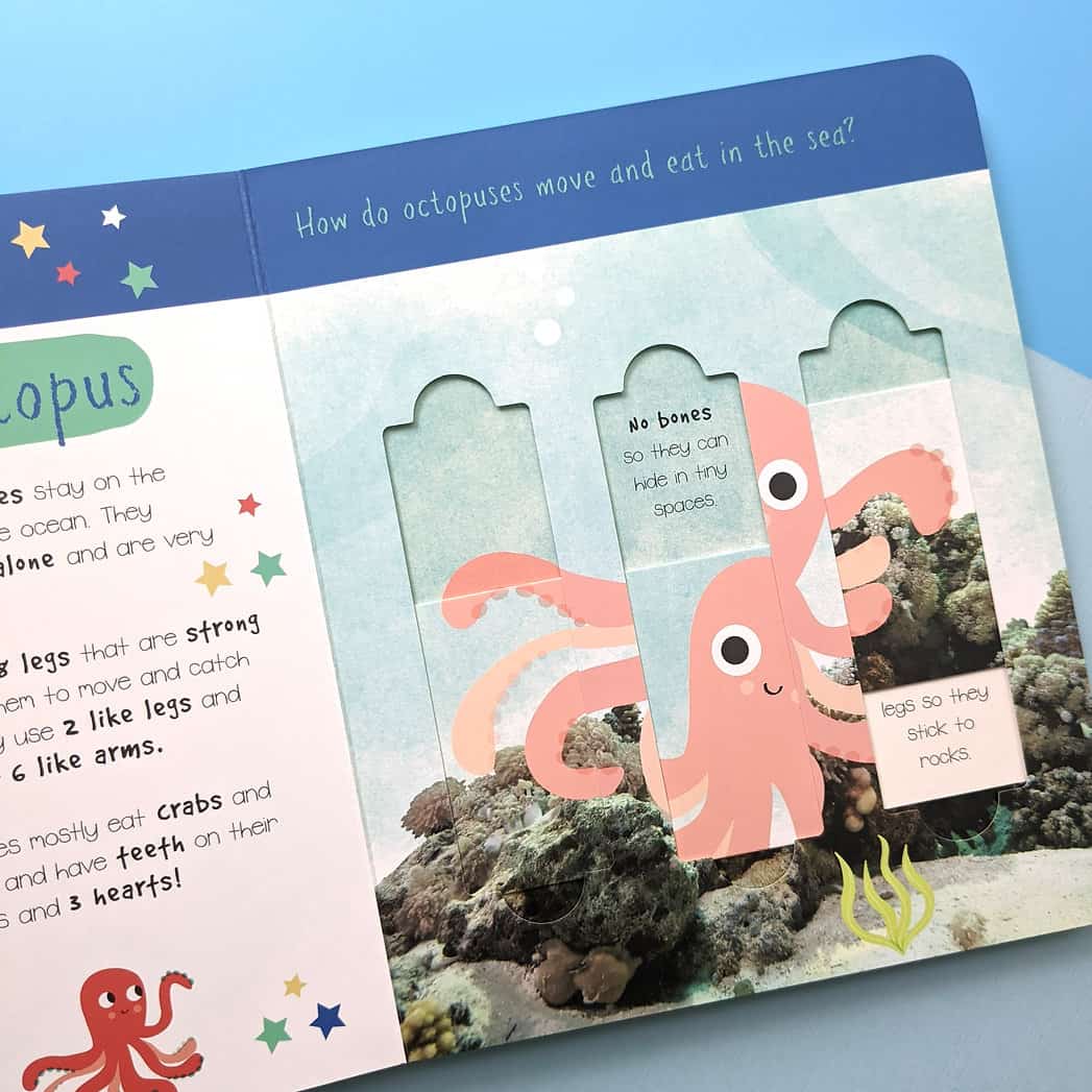 Carte pentru copii - Little Wonders Ocean Animals Puzzle Slider Board Book