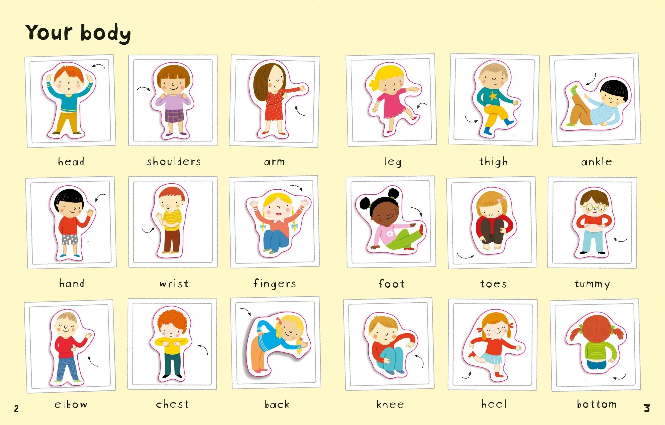 Carte pentru copii, Usborne, First Sticker Book Your Body, 3+ ani