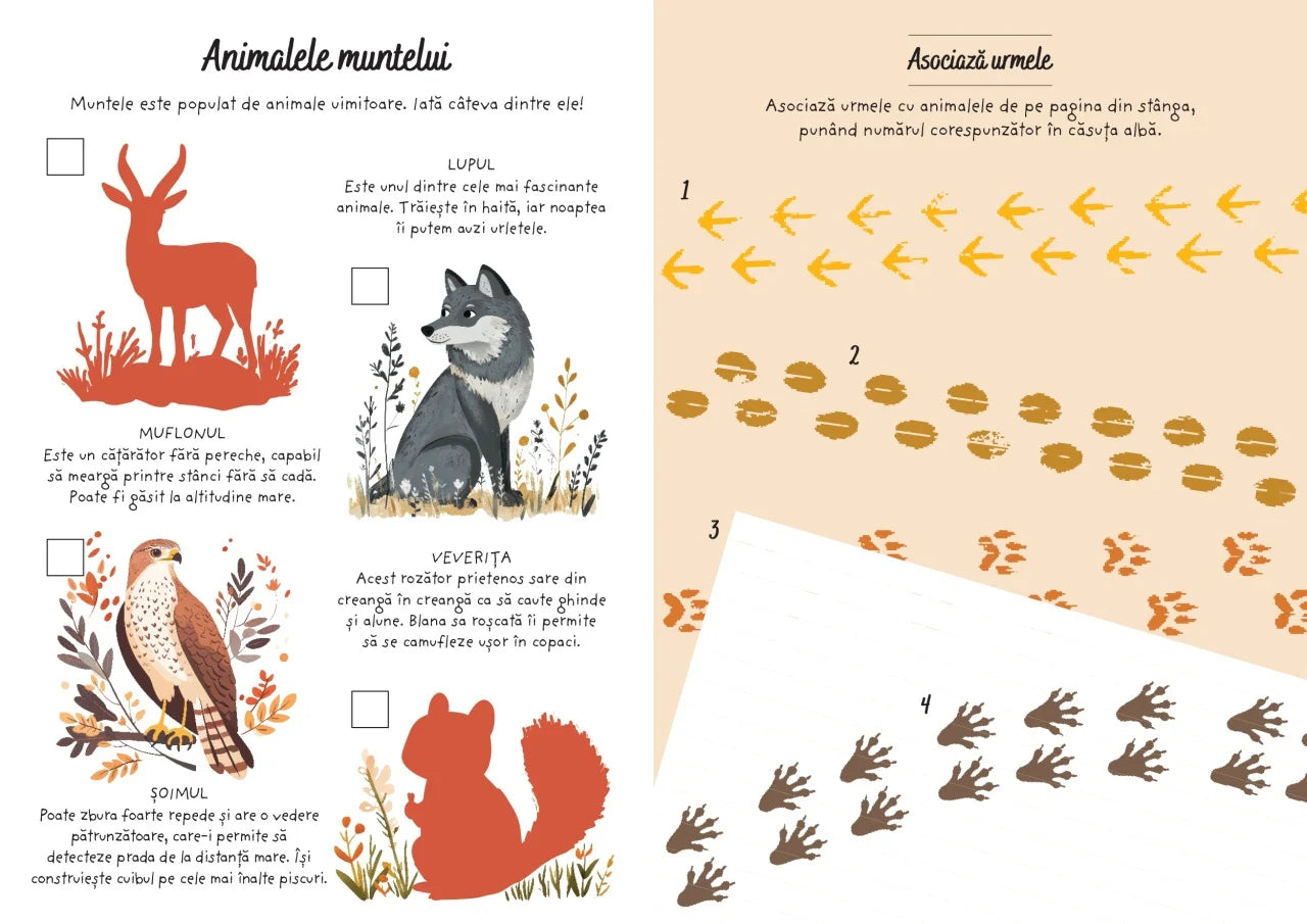 Aventuri la munte - Activitati si abtibilduri
