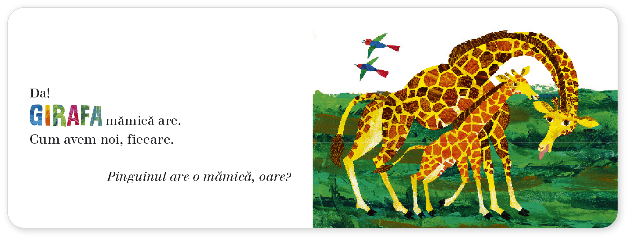 Carle E - Si cangurul are o mamica, oare?
