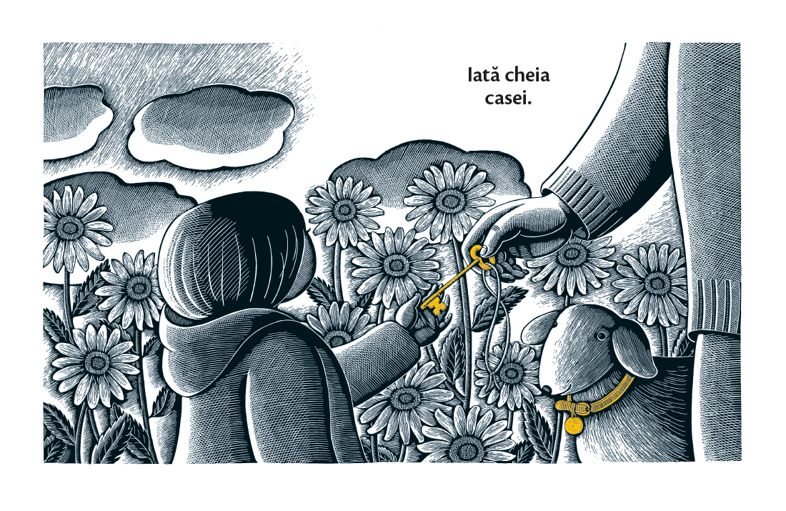 Casa în timpul nopții