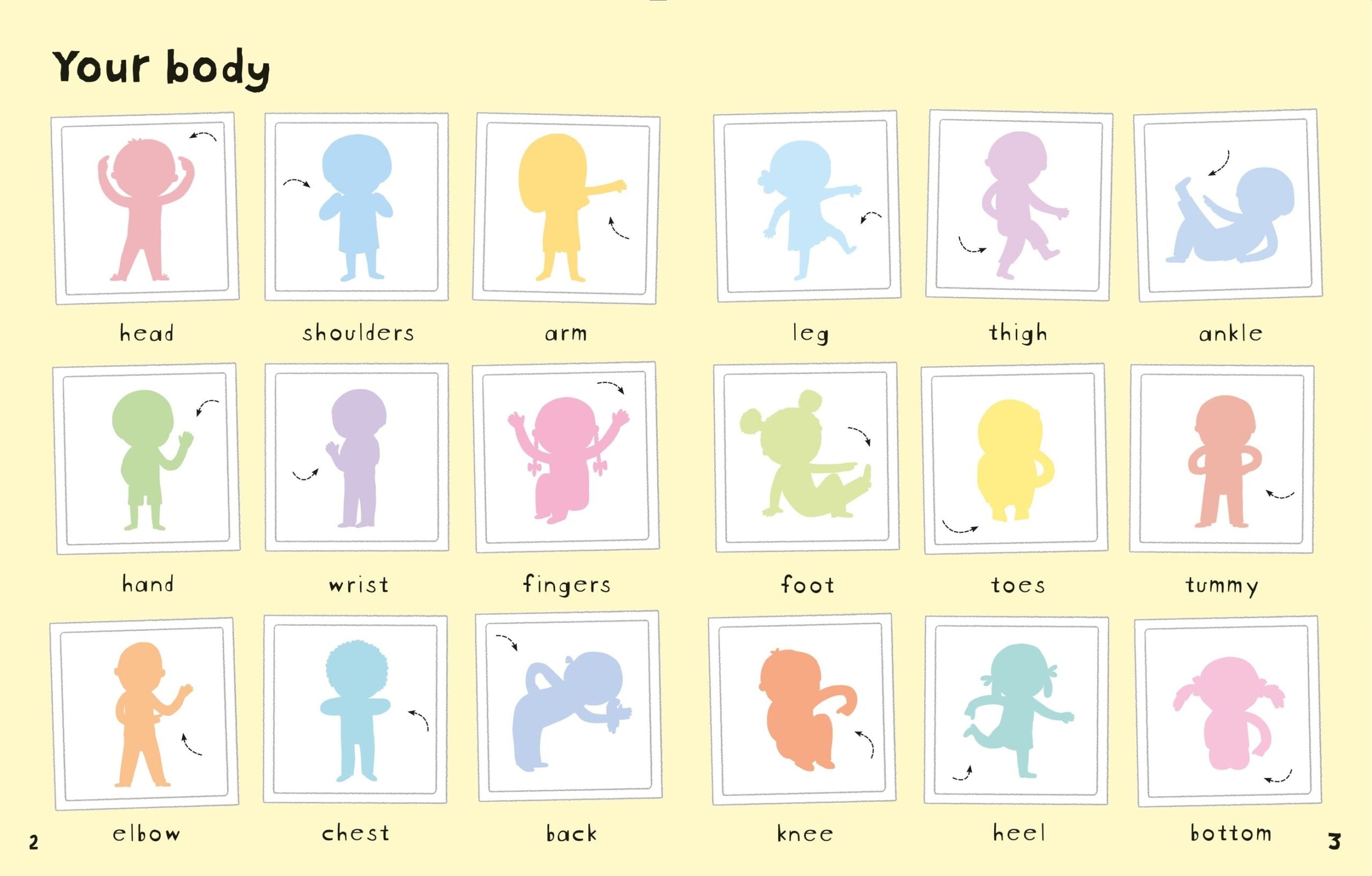 Carte pentru copii, Usborne, First Sticker Book Your Body, 3+ ani