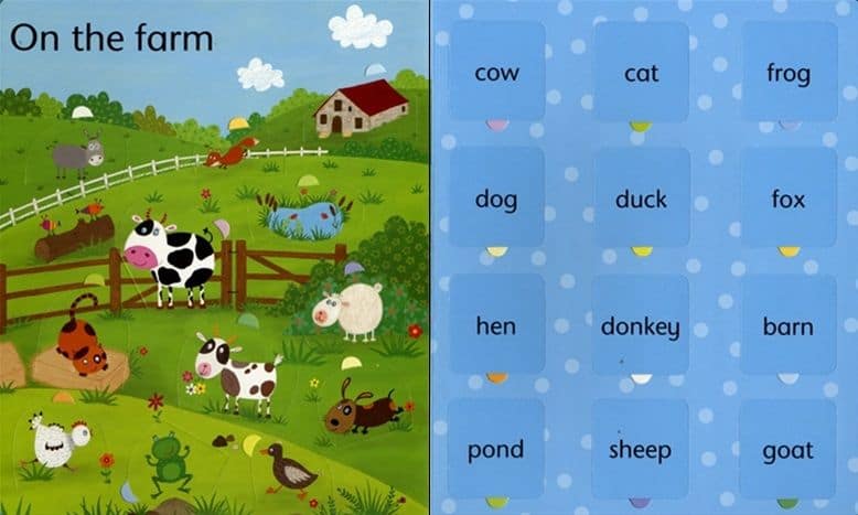 Carte cu activitati - Lift the Flap: Word Book