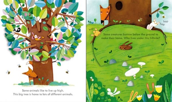 Carte Peep Inside animale - Peep Inside Animal Homes