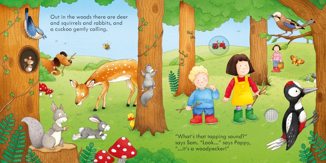 Resigilat - Carte pentru copii, Usborne, Poppy and Sam's Nature Sounds, 1+ ani