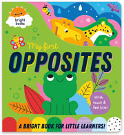 Carte pentru copii, NPP, RAINBOW-COATED BOARD BOOK - FIRST OPPOSITES, 6 luni+