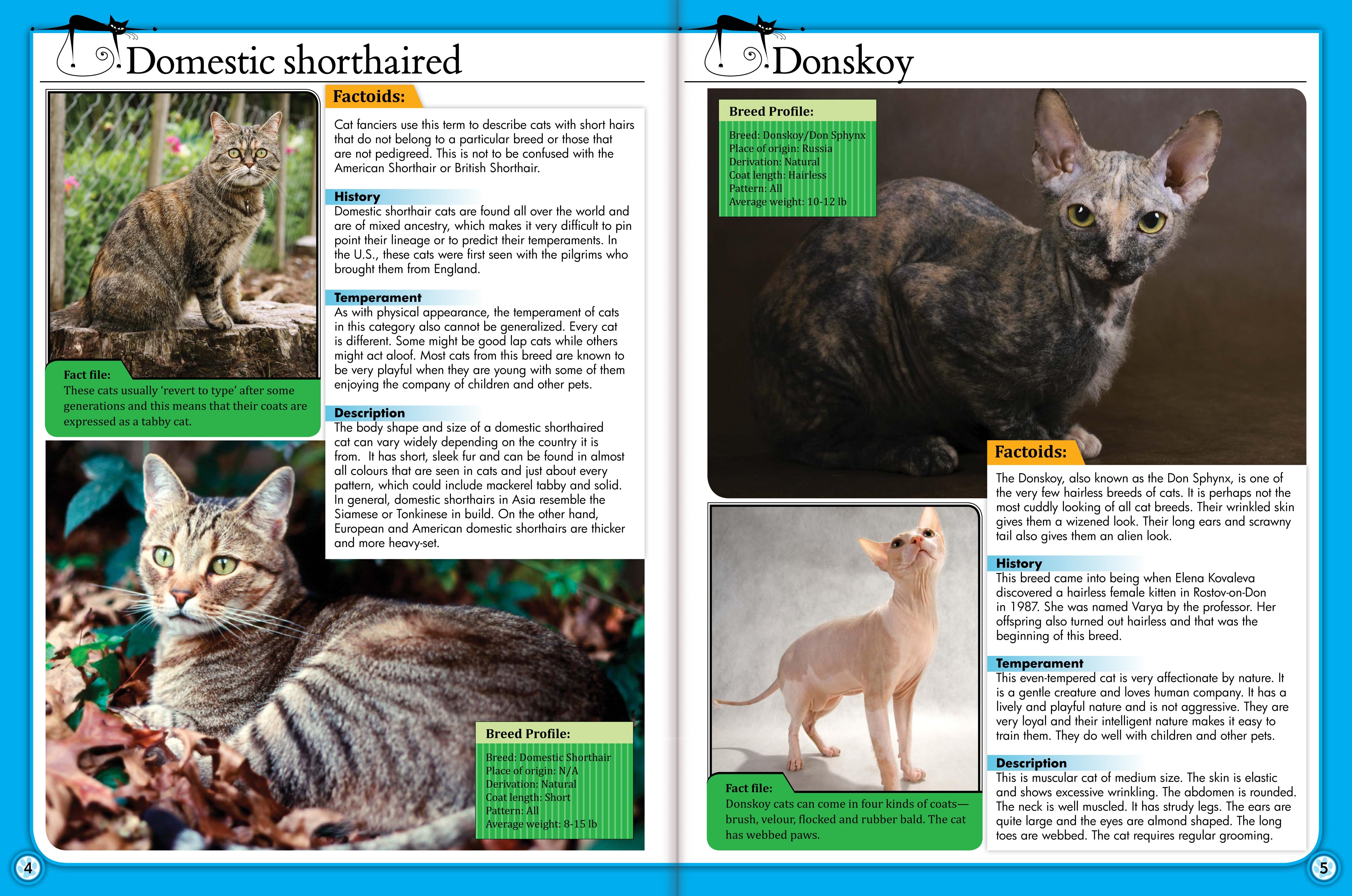 128PP OMNIBUS - ENCYLOPEDIA OF CATS