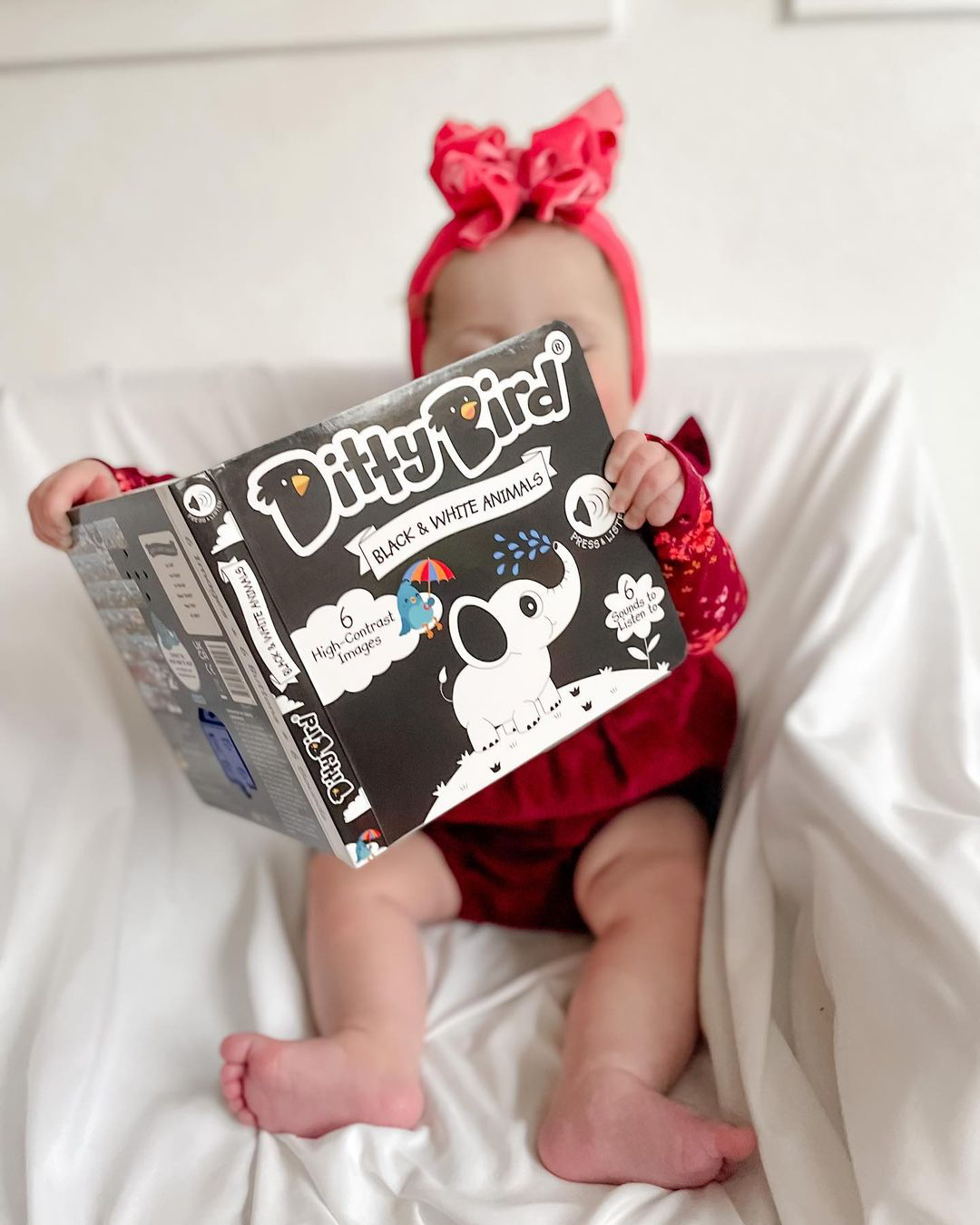 Carte pentru copii, Ditty Bird, Black and White Animals, 6+ luni