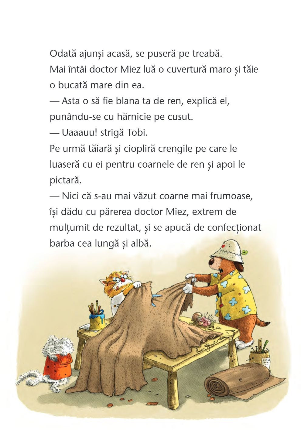 Carti copii: Doctorul Miez: O minune de Craciun