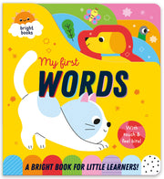 Carte pentru copii, NPP, RAINBOW-COATED BOARD BOOK - FIRST WORDS, 6 luni+