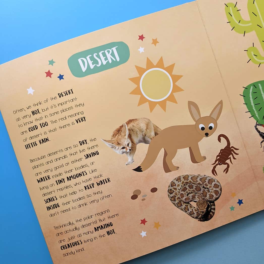 Carte pentru copii - Little Wonders Habitats Multi-Flap Board Book