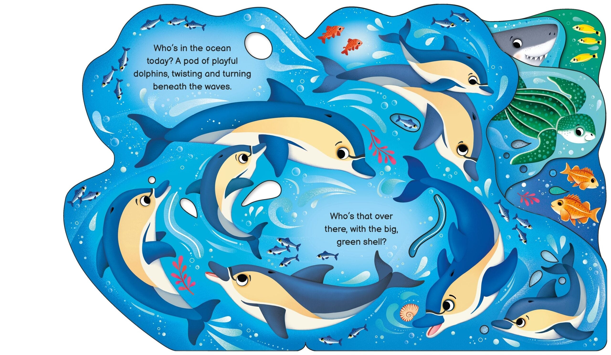 Carte pentru copii, Usborne, Who's in the Ocean Today?, 12+ luni