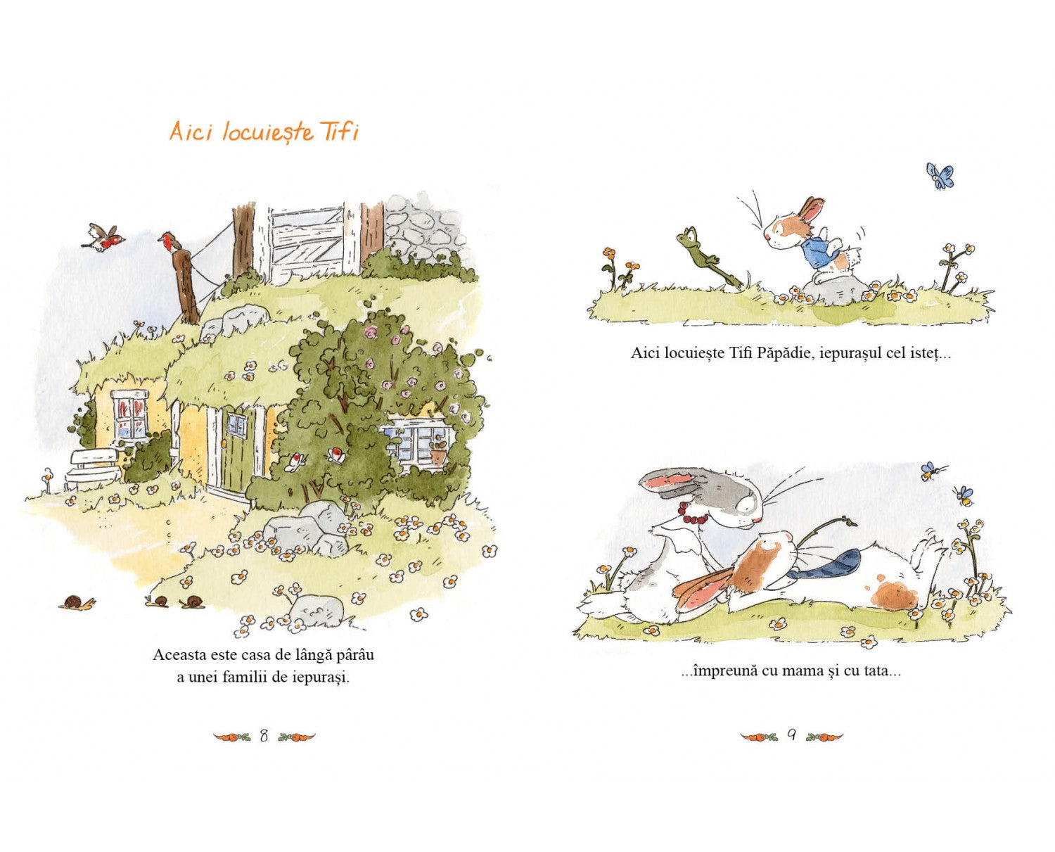 Carte pentru copii, Andreas H. Schmachtl, Tifi Papadie - Si lumea lui, 3+ ani