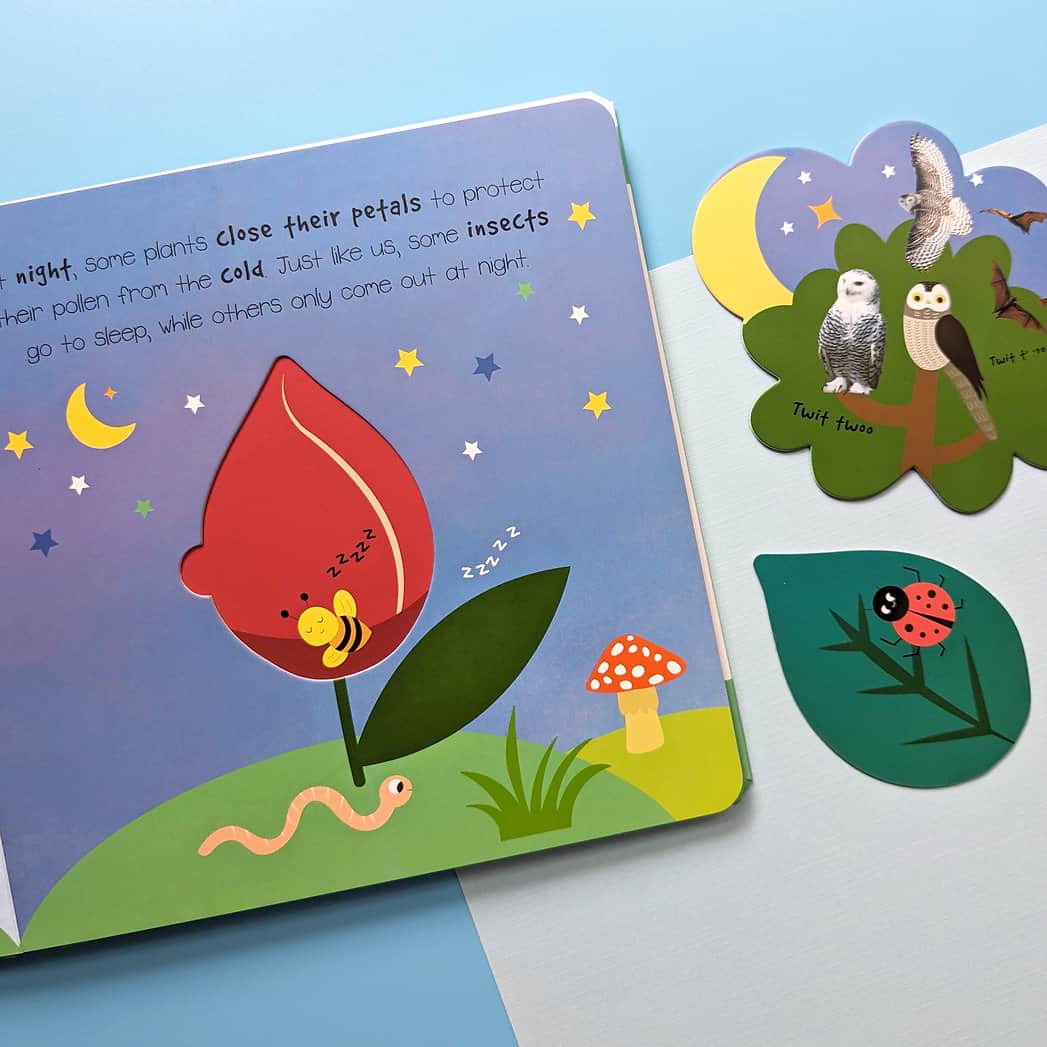 Carte pentru copii - Little wonders pop-out playbook - night and day