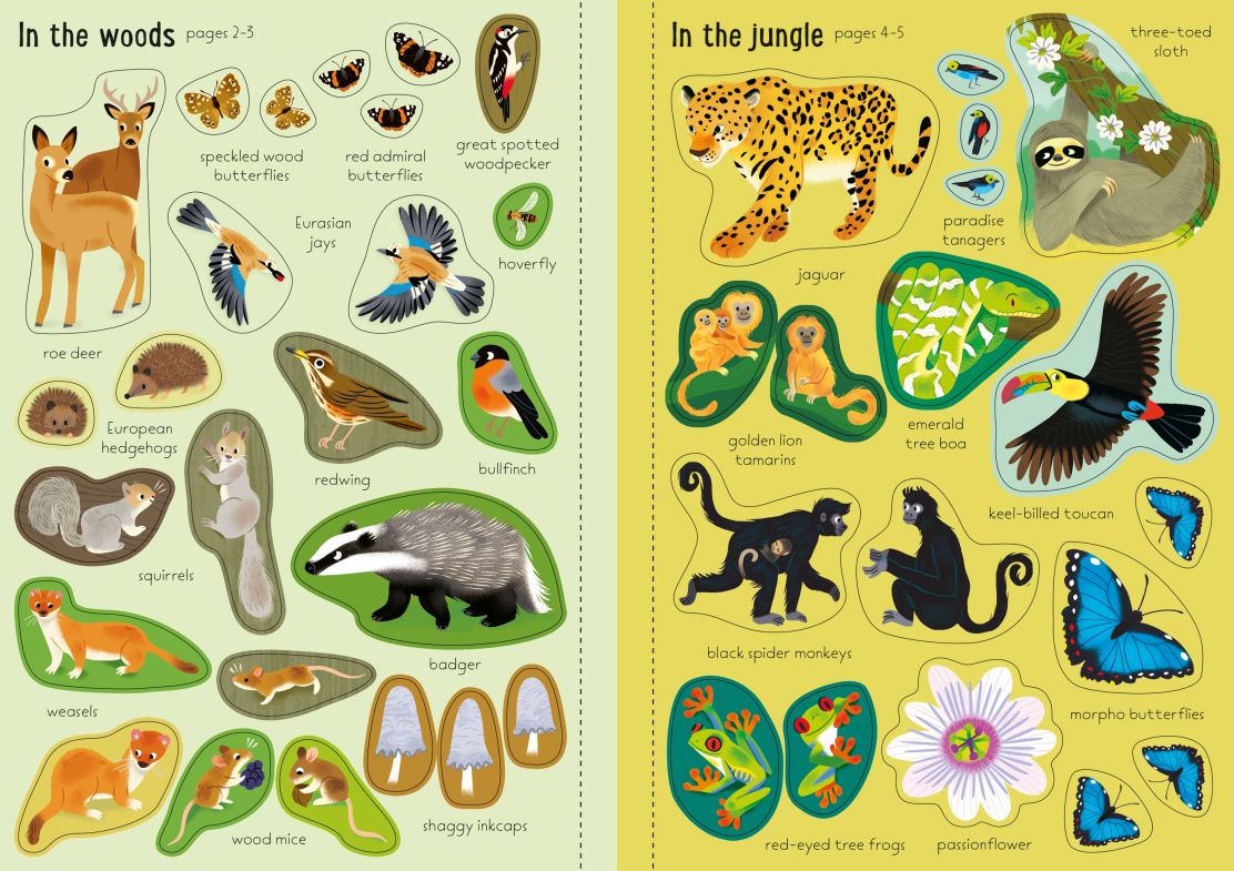 Carte pentru copii, Usborne, Little First Stickers Nature, 3+ ani