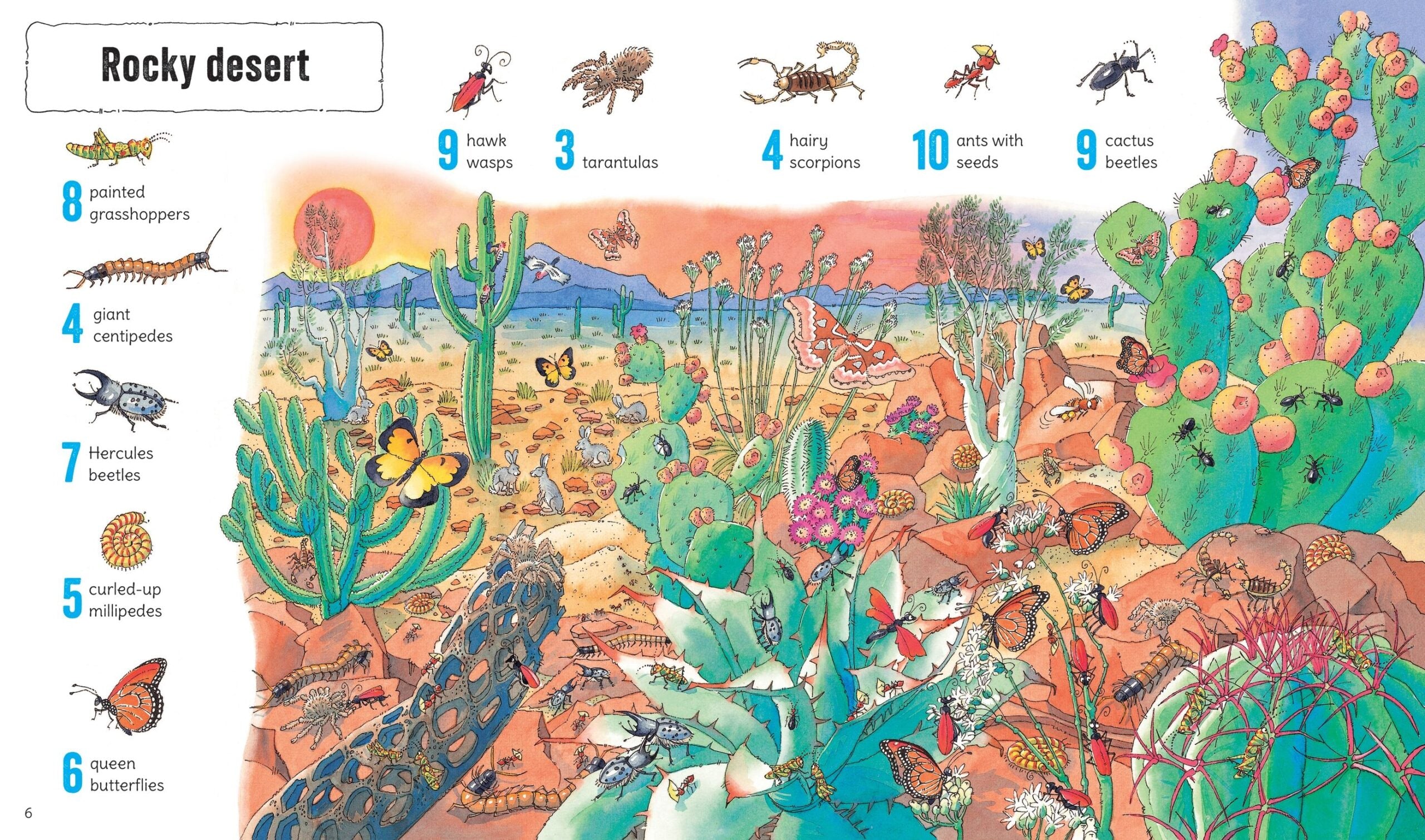 Carte pentru copii, Usborne, 1001 Bugs to Spot, 5+ ani