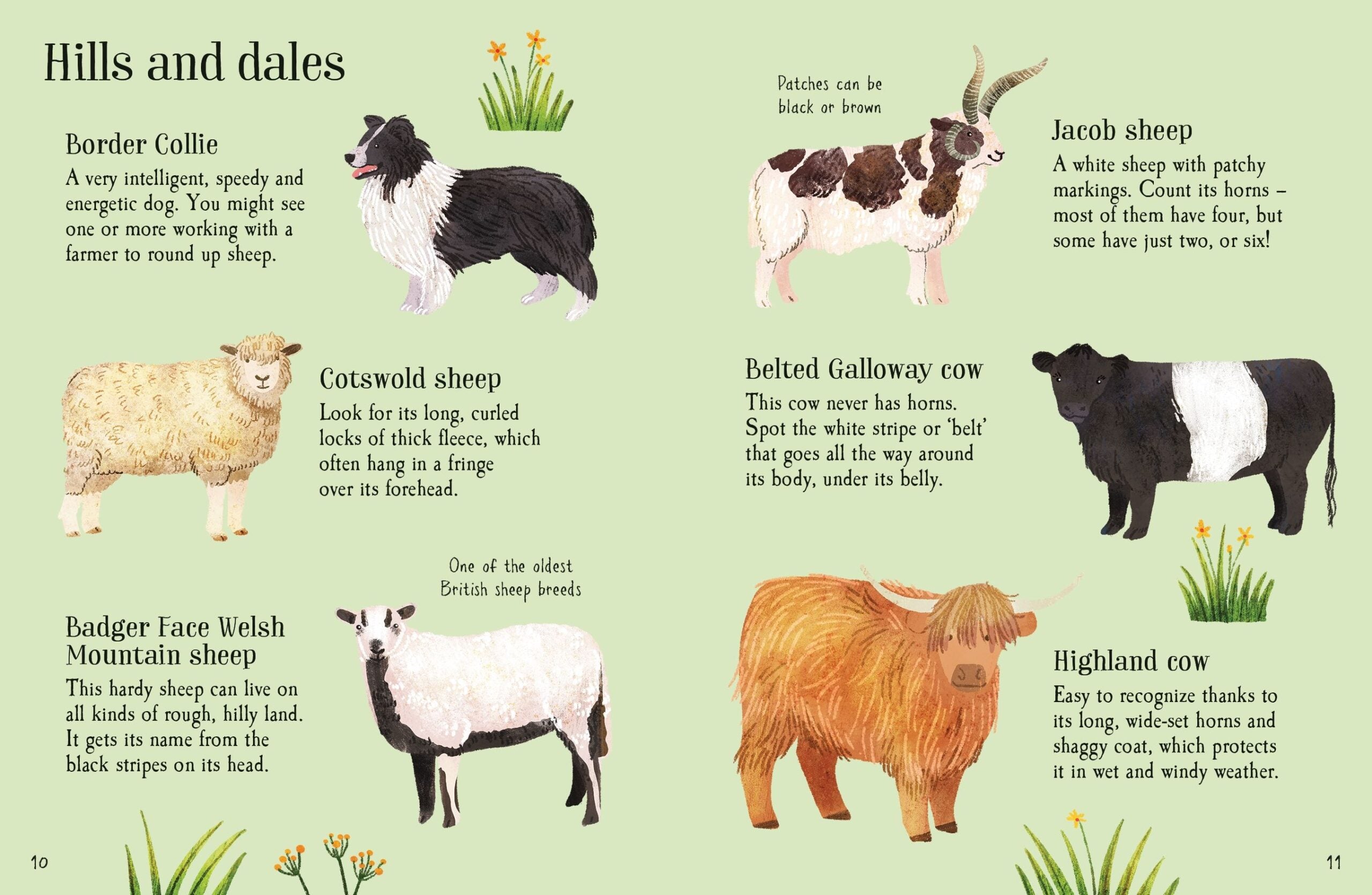 Carte pentru copii, Usborne, Farm Animals to Spot, 6+ ani