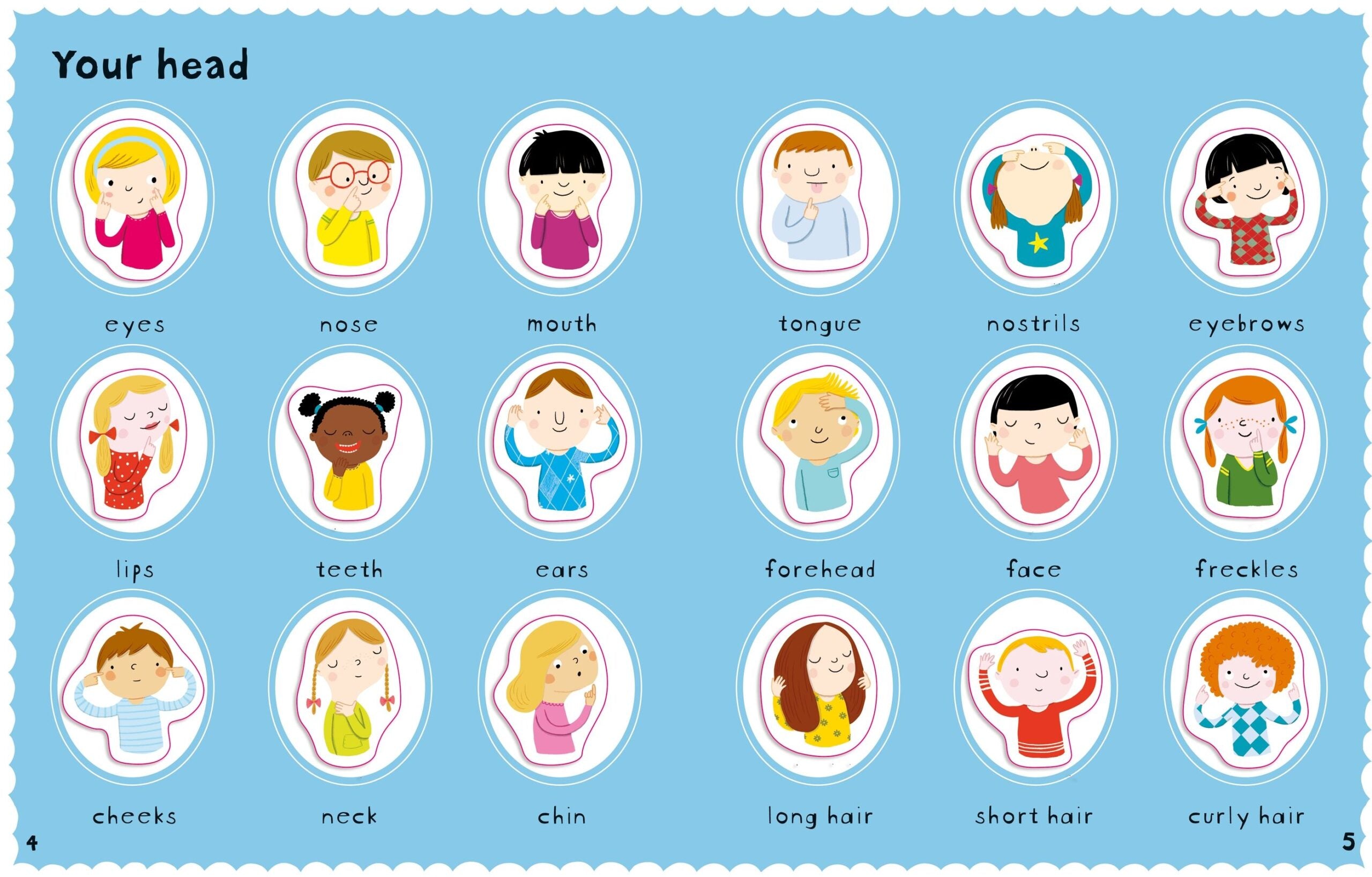 Carte pentru copii, Usborne, First Sticker Book Your Body, 3+ ani