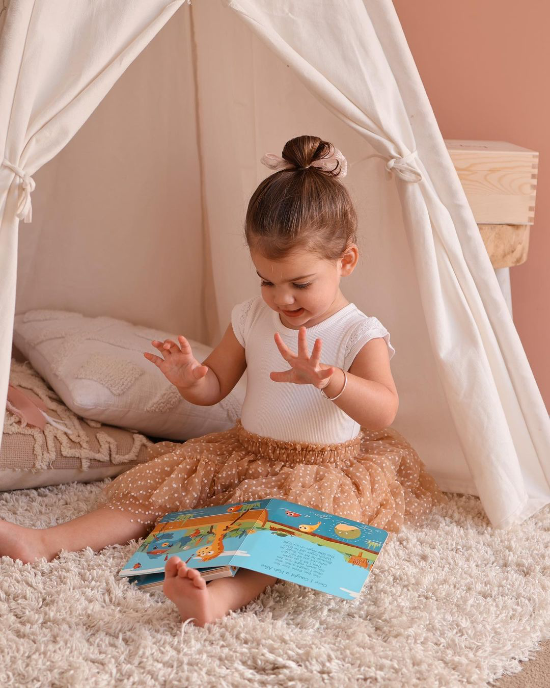 Carte pentru copii, Ditty Bird, Animal Songs, 6+ luni