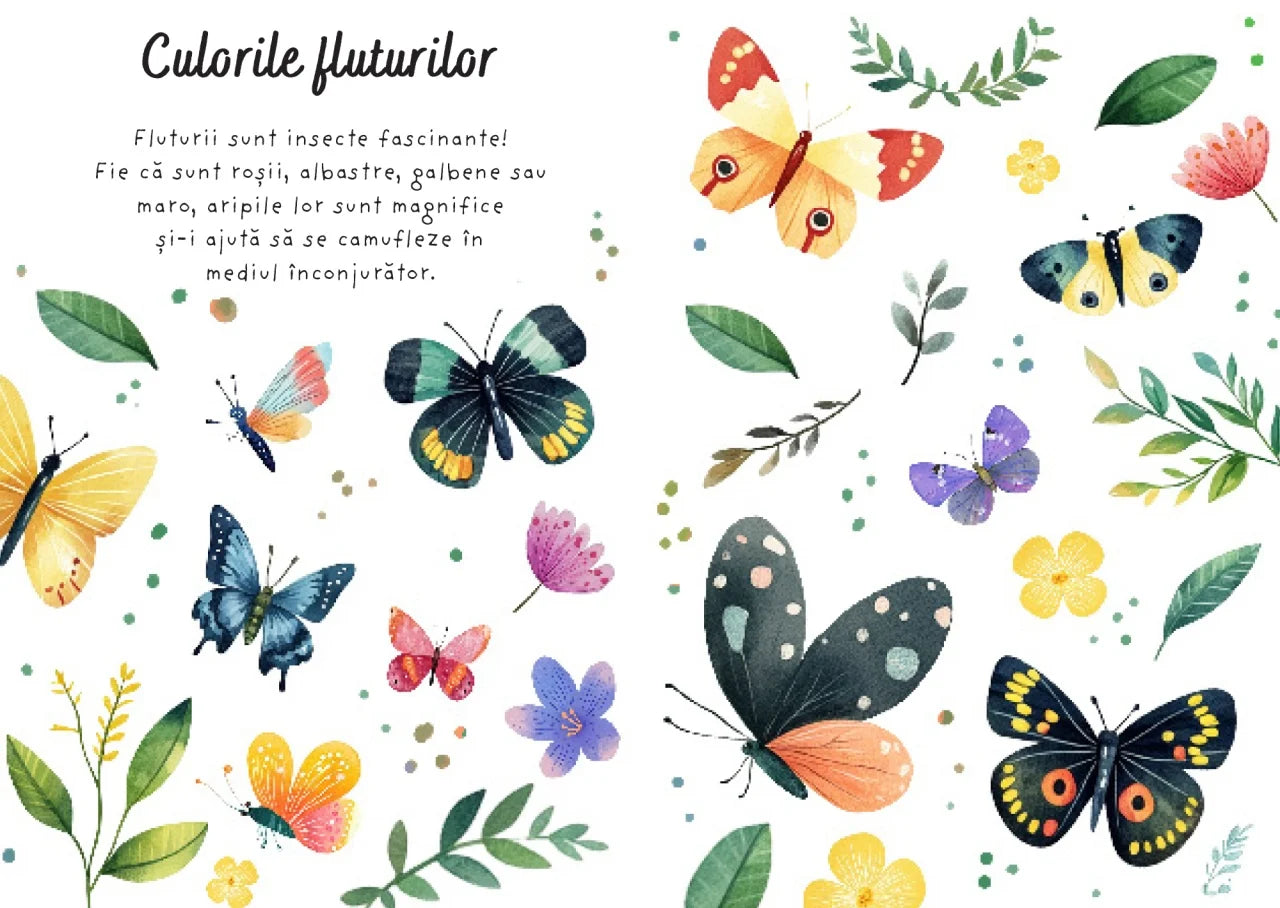 Fluturii - Puzzle magic de colorat cu apa