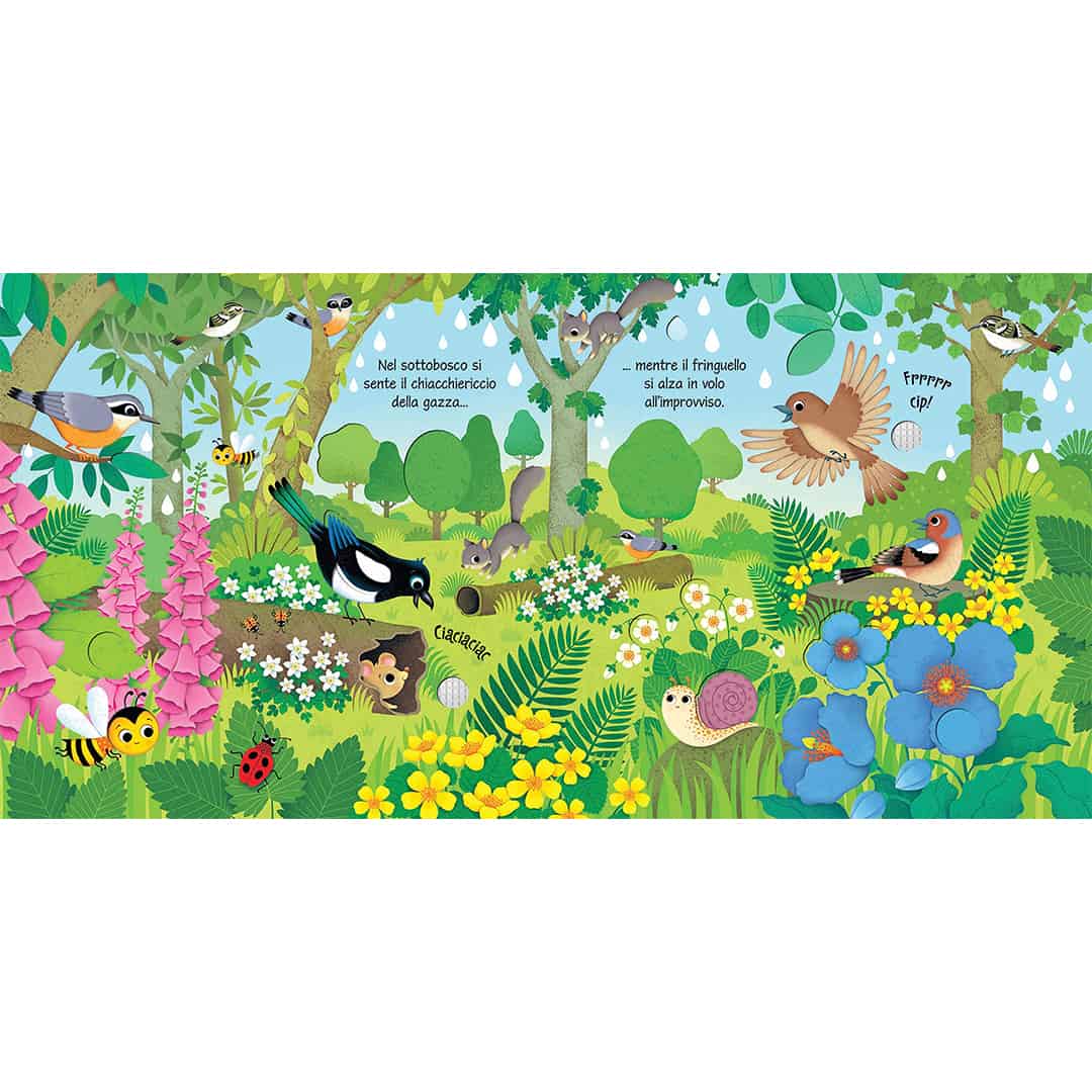 Bird Sounds – Carte cu sunetele pasarilor
