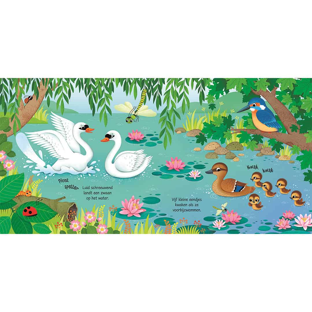 Bird Sounds – Carte cu sunetele pasarilor