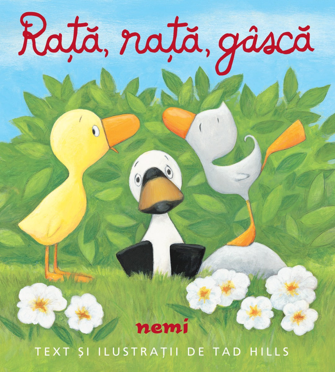 RATA, RATA, GASCA