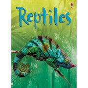 Reptiles