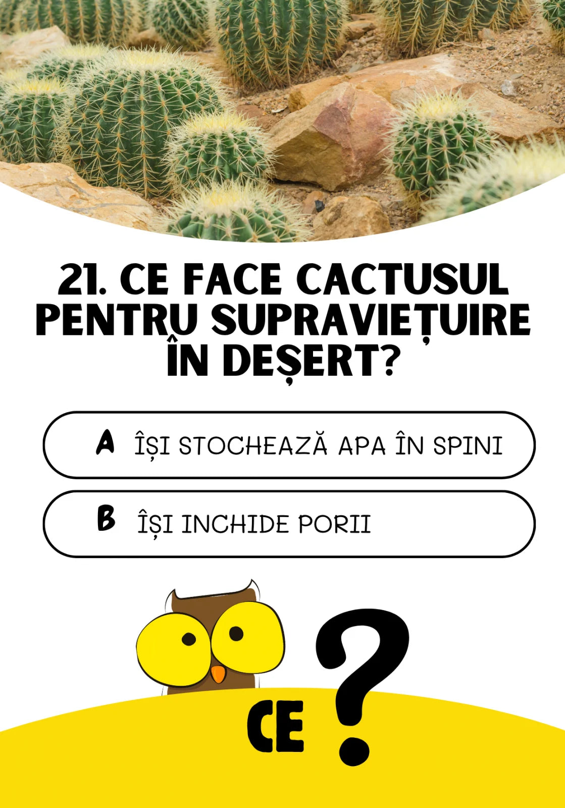 Saculetul cu jocuri - CINE? CE? CUM? Joc de cultura generala, 7 + ani, Funlandia