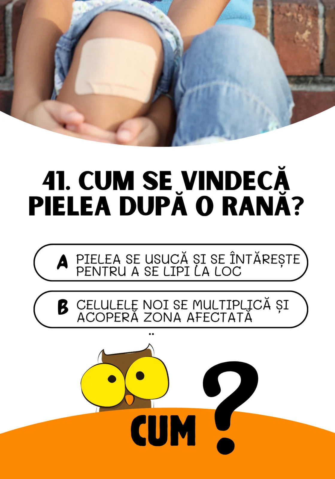 Saculetul cu jocuri - CINE? CE? CUM? Joc de cultura generala, 7 + ani, Funlandia