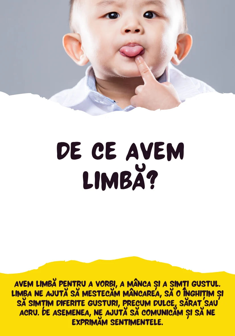 Saculetul cu jocuri - DE CE? 50 de cartonase distractive si educative, 4 + ani, Funlandia