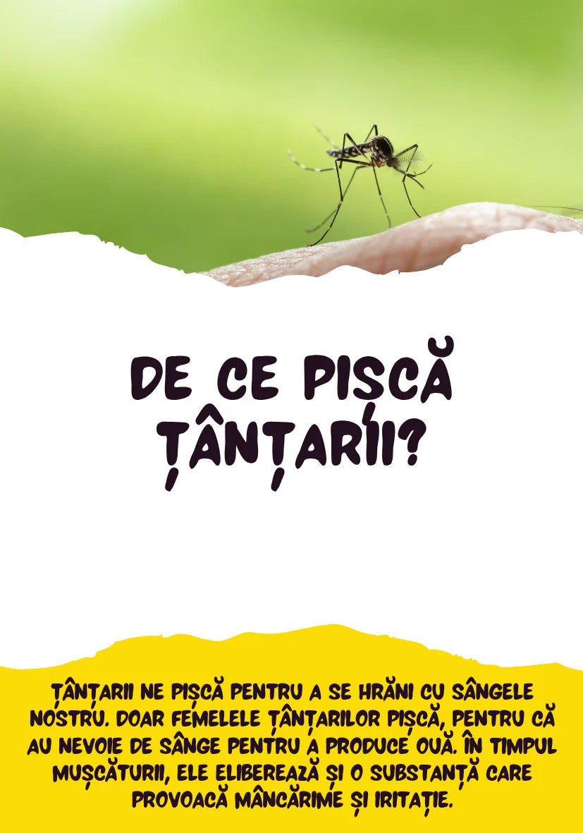 Saculetul cu jocuri - DE CE? 50 de cartonase distractive si educative, 4 + ani, Funlandia