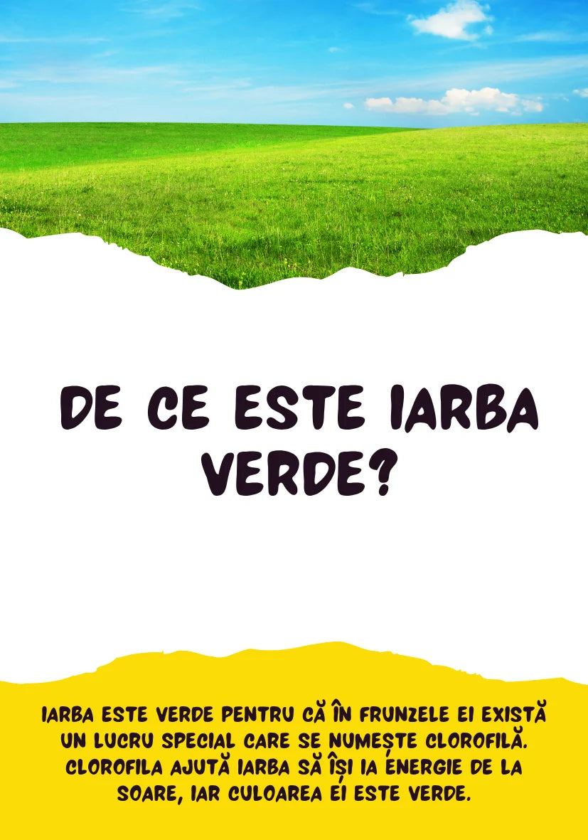 Saculetul cu jocuri - DE CE? 50 de cartonase distractive si educative, 4 + ani, Funlandia